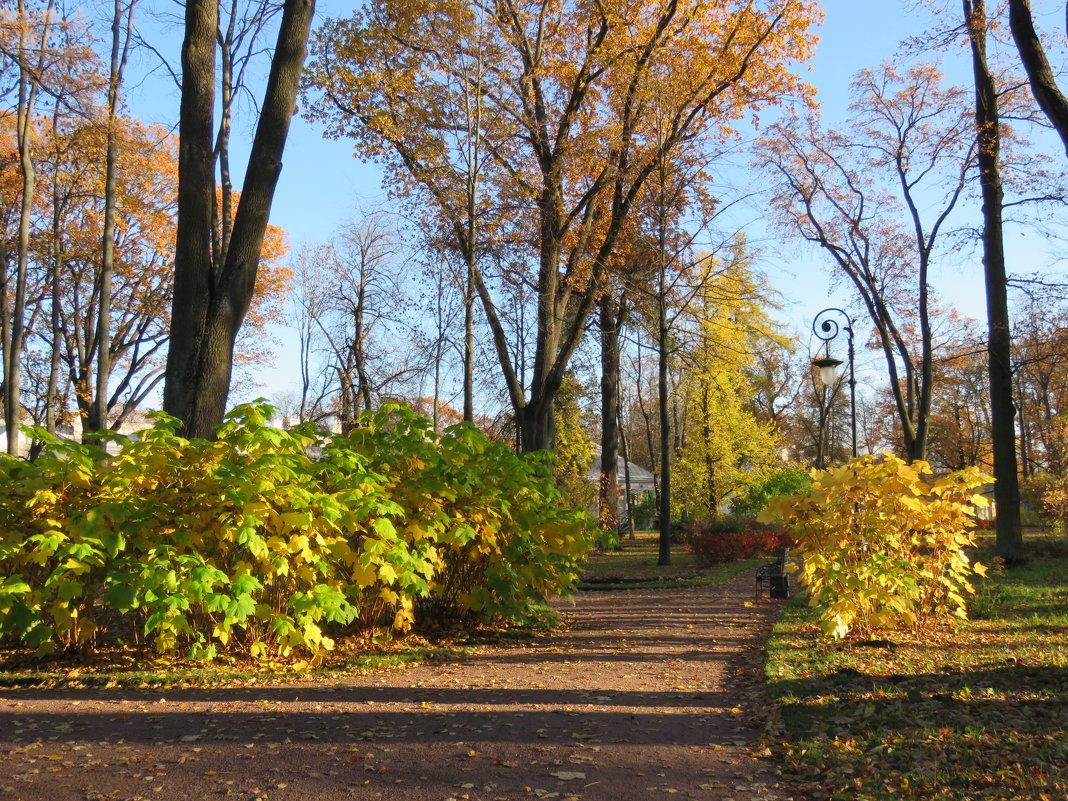 в парке - Галина 