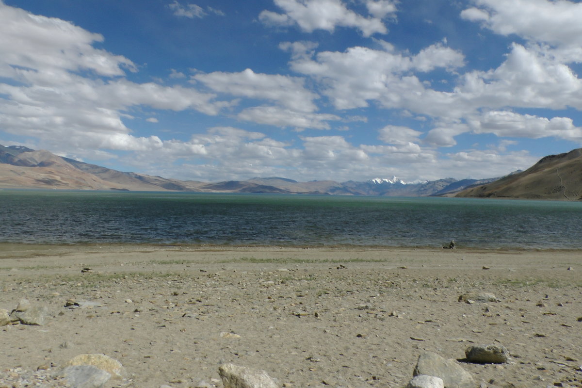 Озеро Tso Moriri (4500м) - Evgeni Pa 