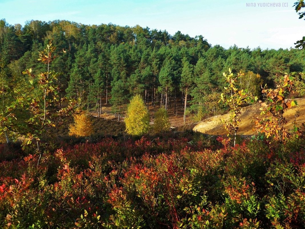 Осень в вересковой долине - Nina Yudicheva