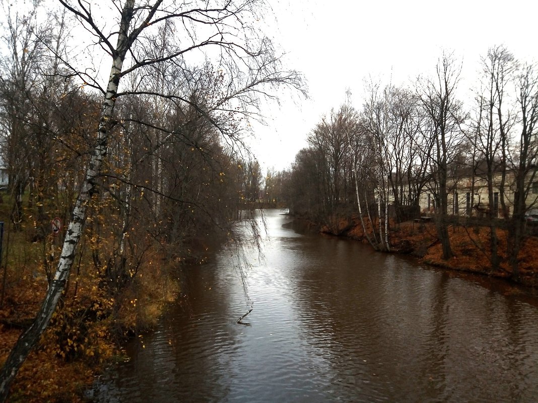 Река Охта. Вид вверх по течению с Большого Ильинского моста - Елена Павлова (Смолова)