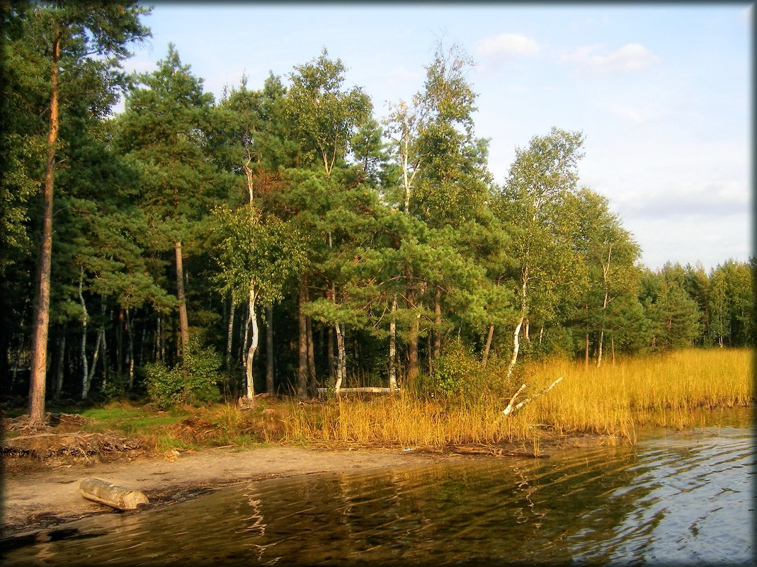 На Ласковском озере - Андрей Пахомов