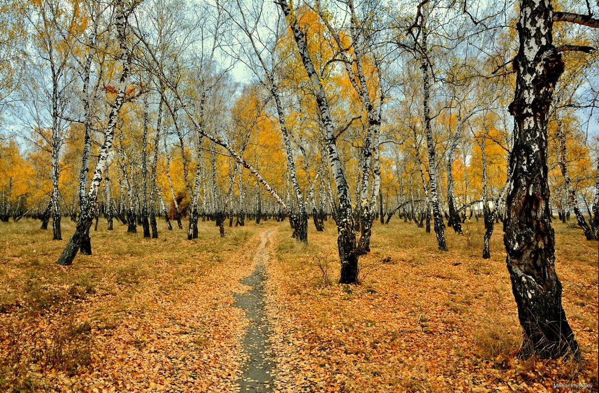 Осенняя пора - Mikhail Irtyshskiy