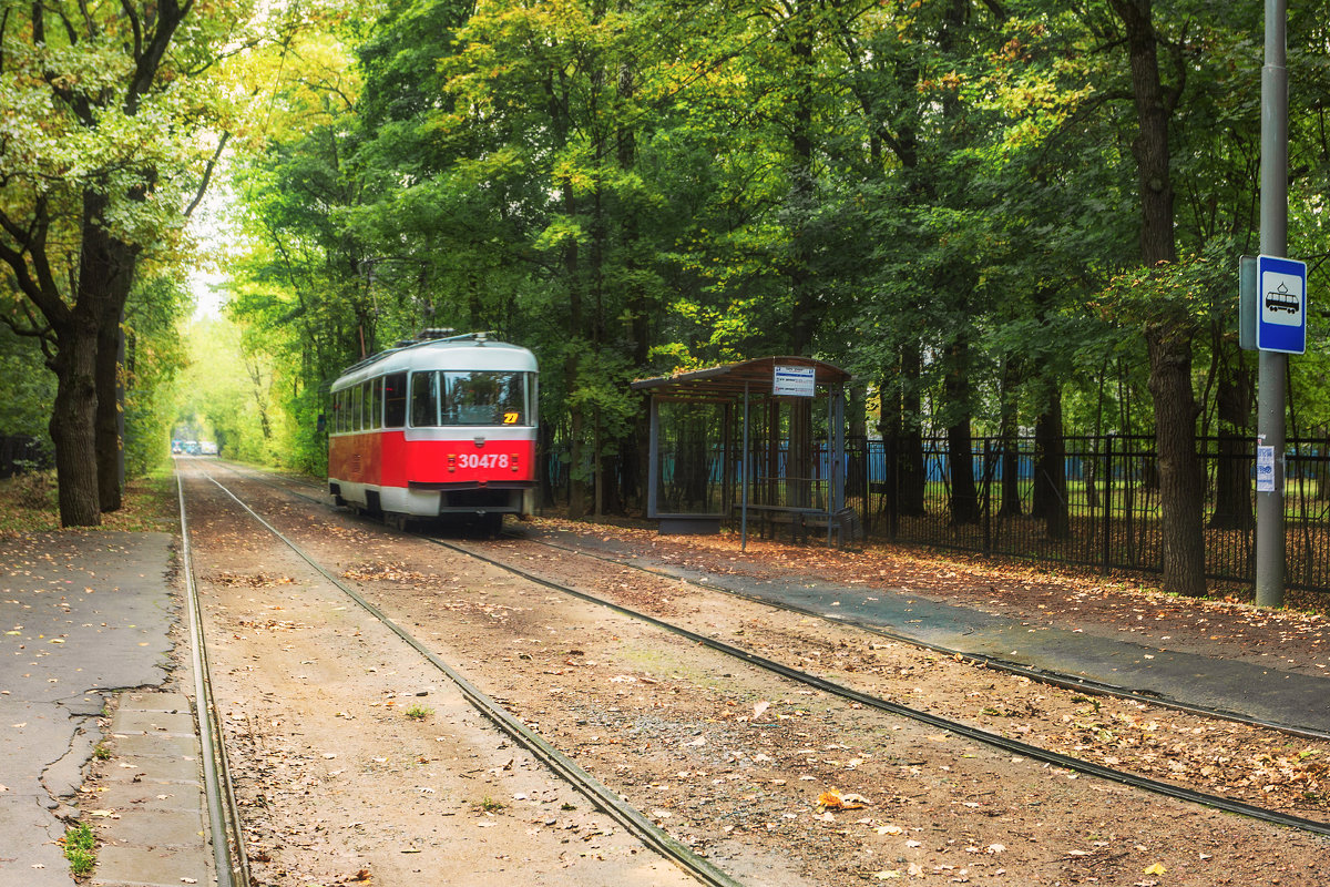 Трамвай идущий в осень - Ольга 