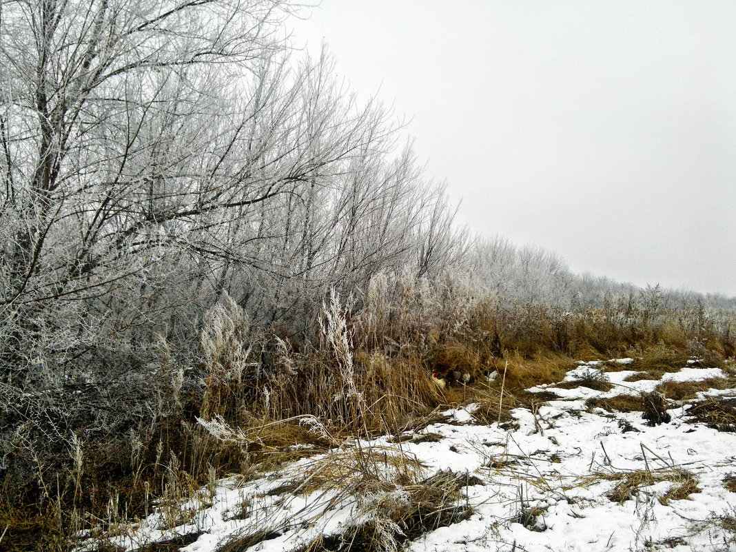 Морозное утро в деревне - Татьяна Королёва