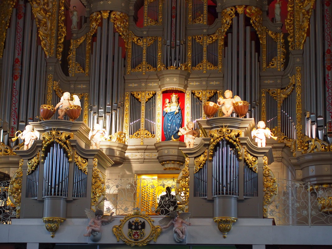 органный зал в Кафедральном соборе г. Калининград - elena manas