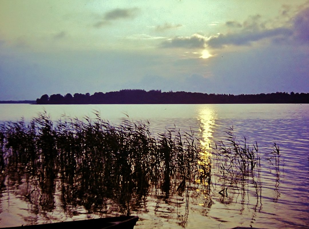 Летним вечером у озера - Leonid Tabakov