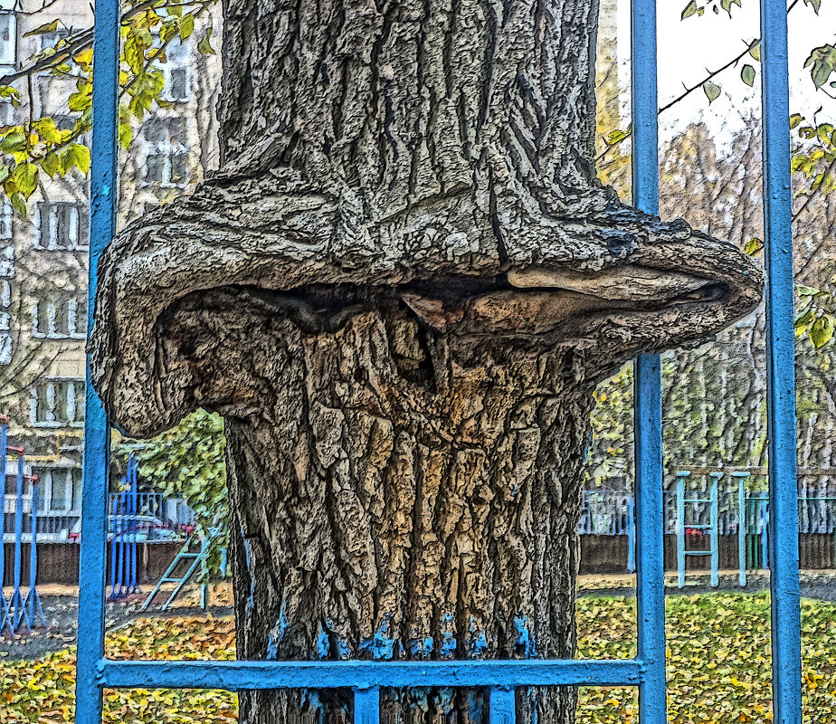 Свободу деревьям - Алексей Виноградов