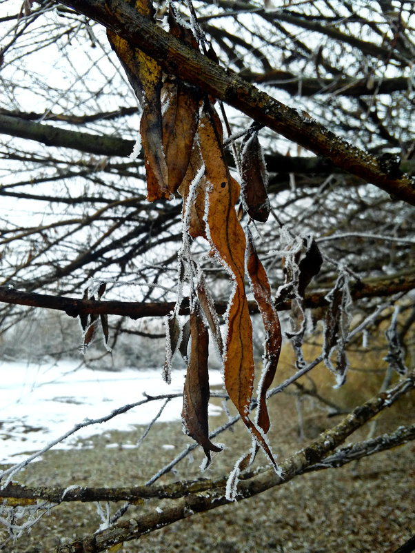 . - Татьяна Королёва