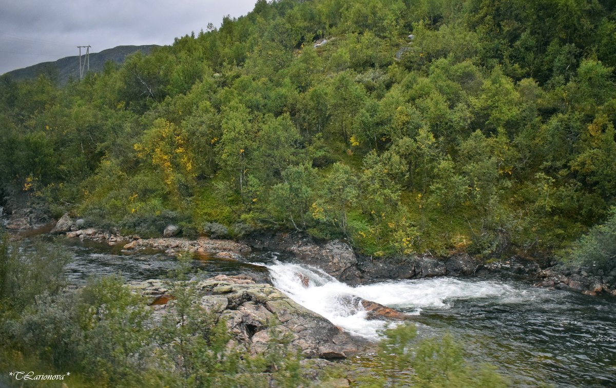 Горные реки Норвегии - Татьяна Ларионова