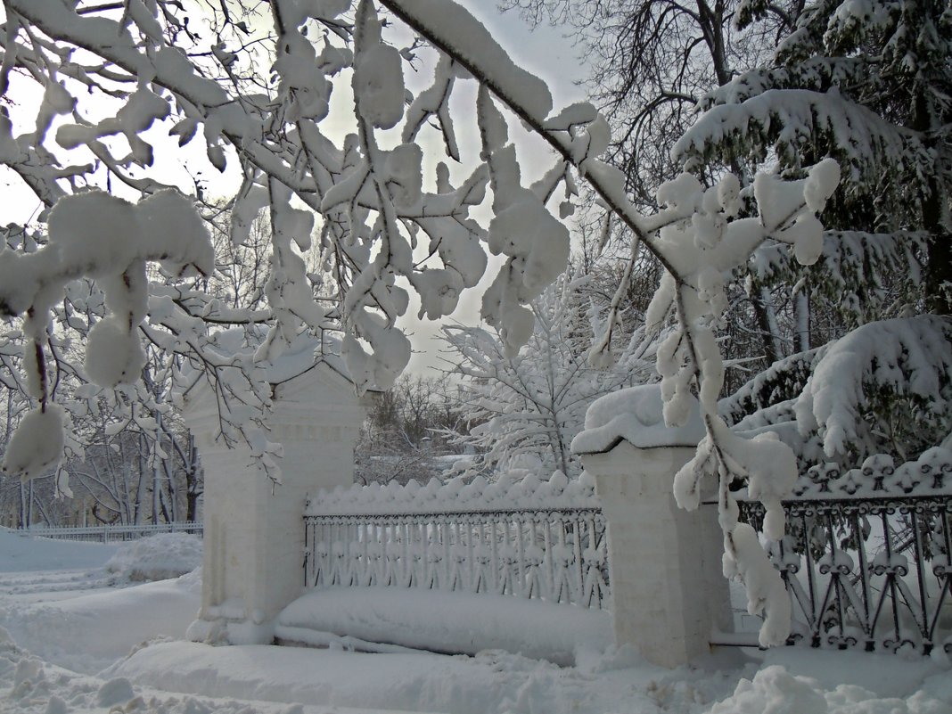 Снежно - Татьяна Егорова