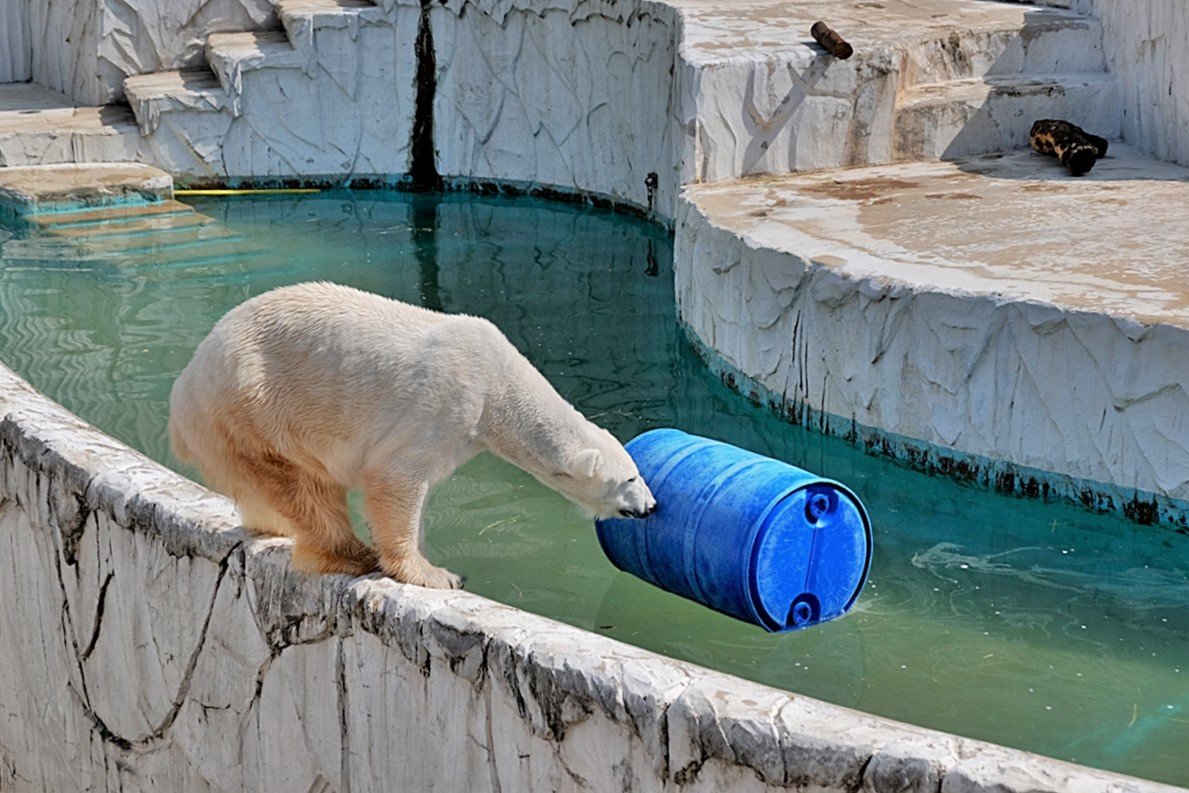 Зоопарк Нагоя Higashiyama Zoo - wea *