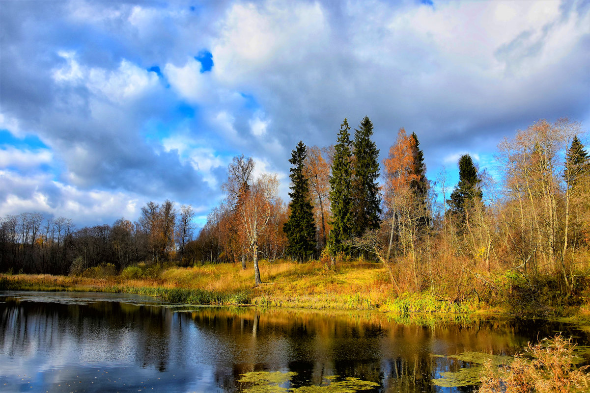 Осенний парк - Oleg S 