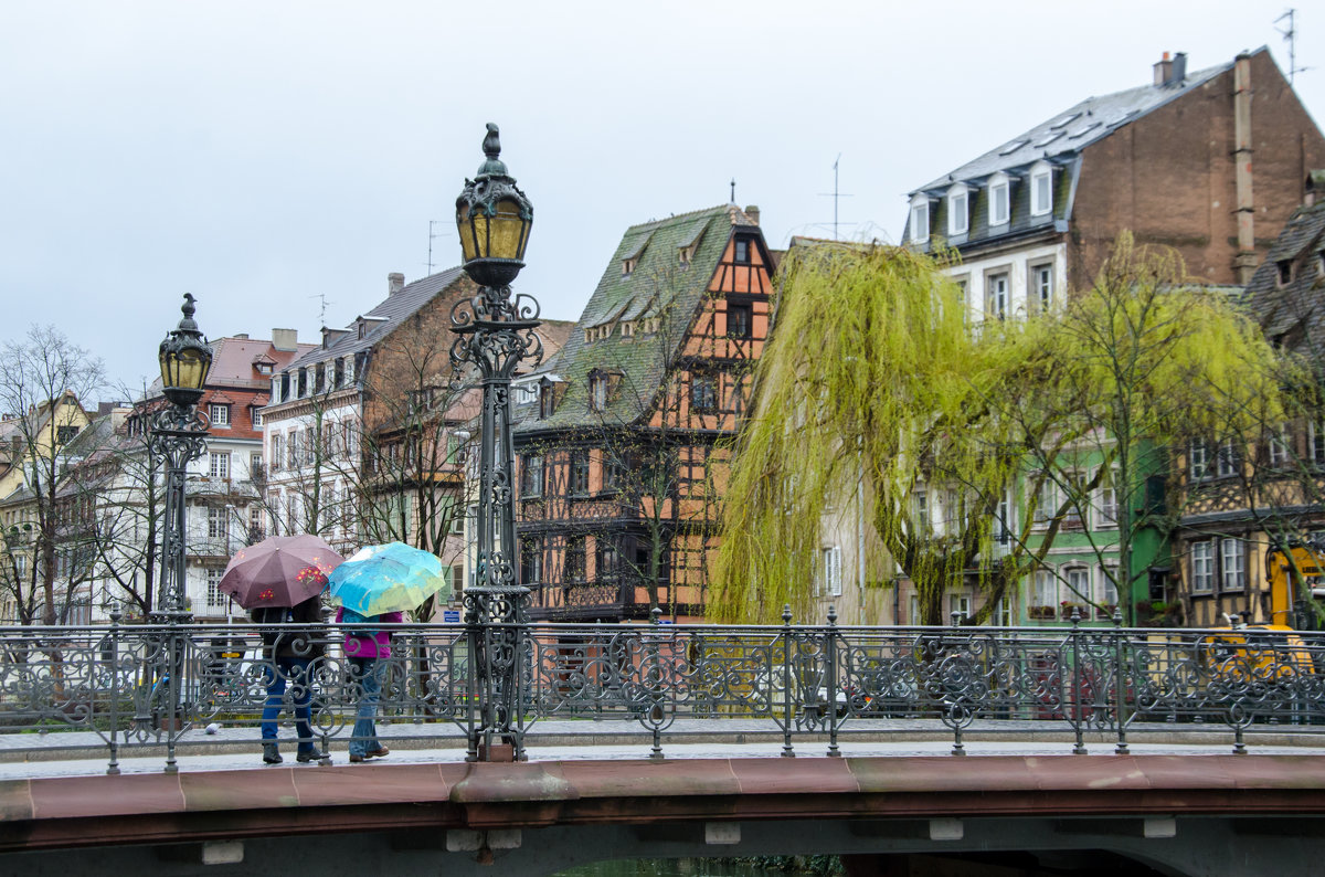 Дождливый день в Страсбурге - Наталия Л.