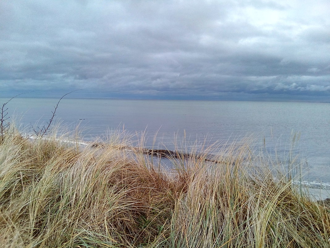 Балтийское море цвета райского наслаждения - Павел Михалёв