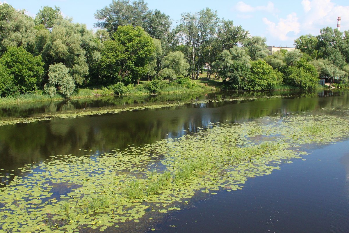 Полтава, река Ворскла. - sav-al-v Савченко