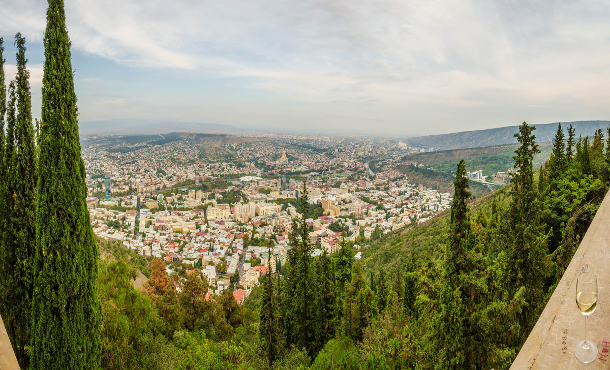 Вид на Тбилиси - Андрей Володин