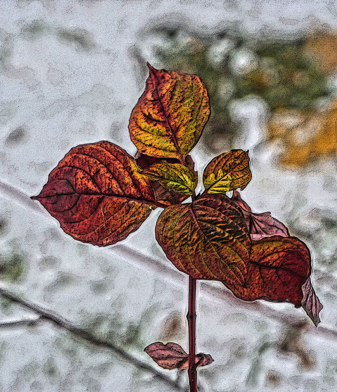 Красные листья - Алексей Виноградов