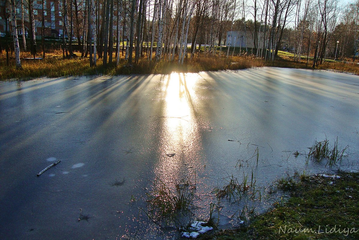 Прогулка по любимому городу - Лидия (naum.lidiya)