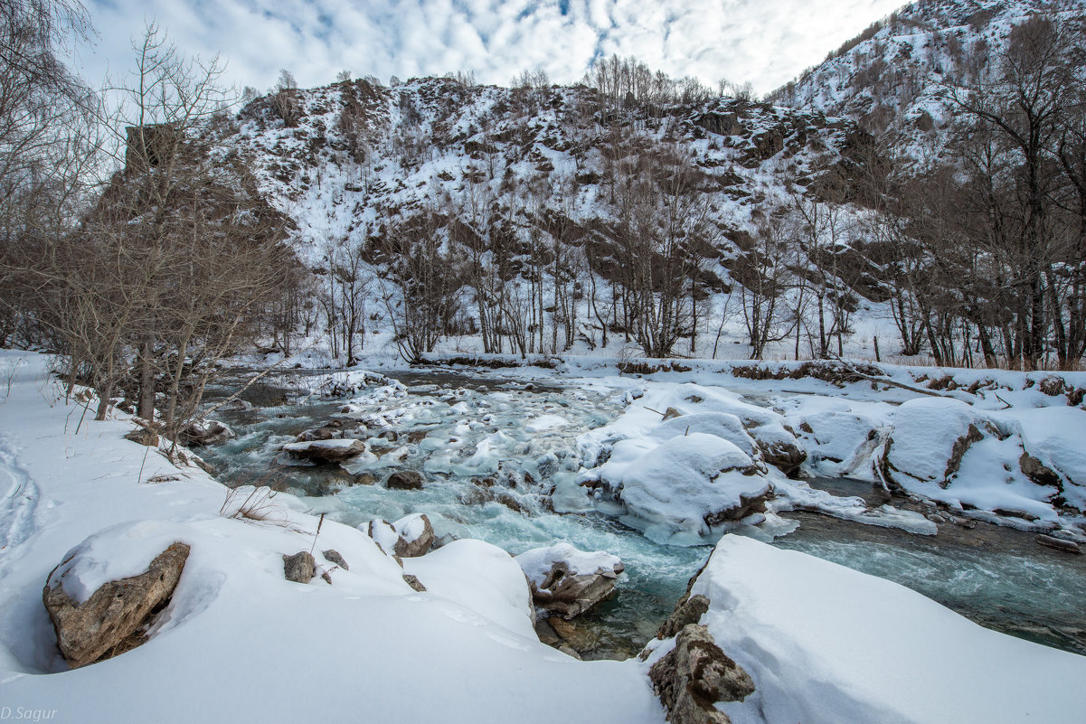 Ущелье реки Кора в Джунгарском Алатау. Текели. Казахстан - Dmitriy Sagurov 