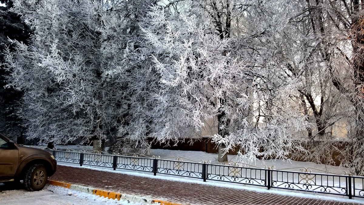 Зимнее утро в городе - Елена Семигина