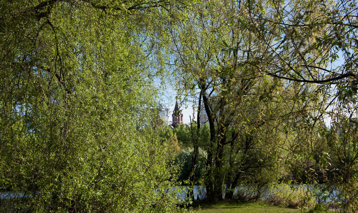 *** - Владимир Безбородов