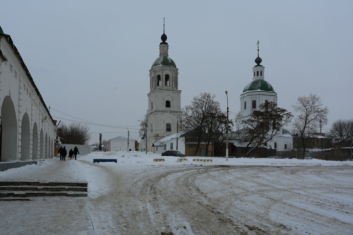 Зарайск - Ninell Nikitina