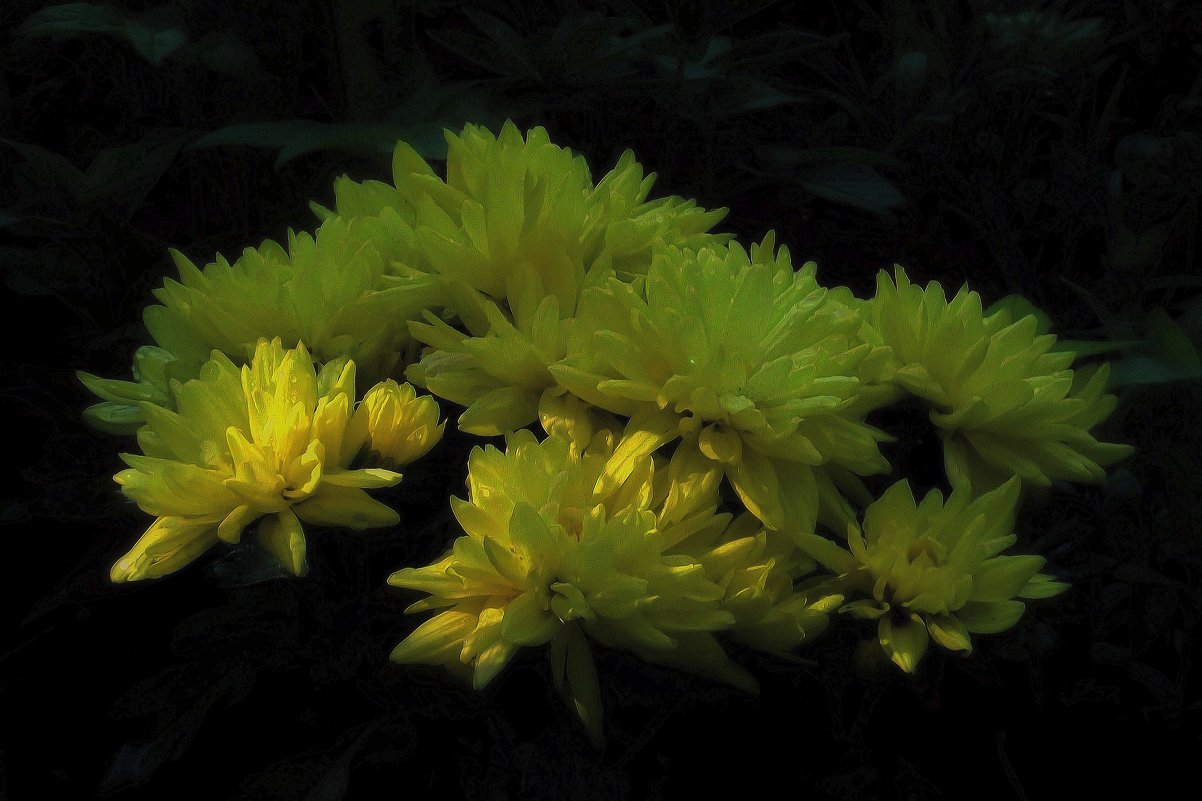 1. Цветы для любимого сайта ФотоКто - Фотогруппа Весна
