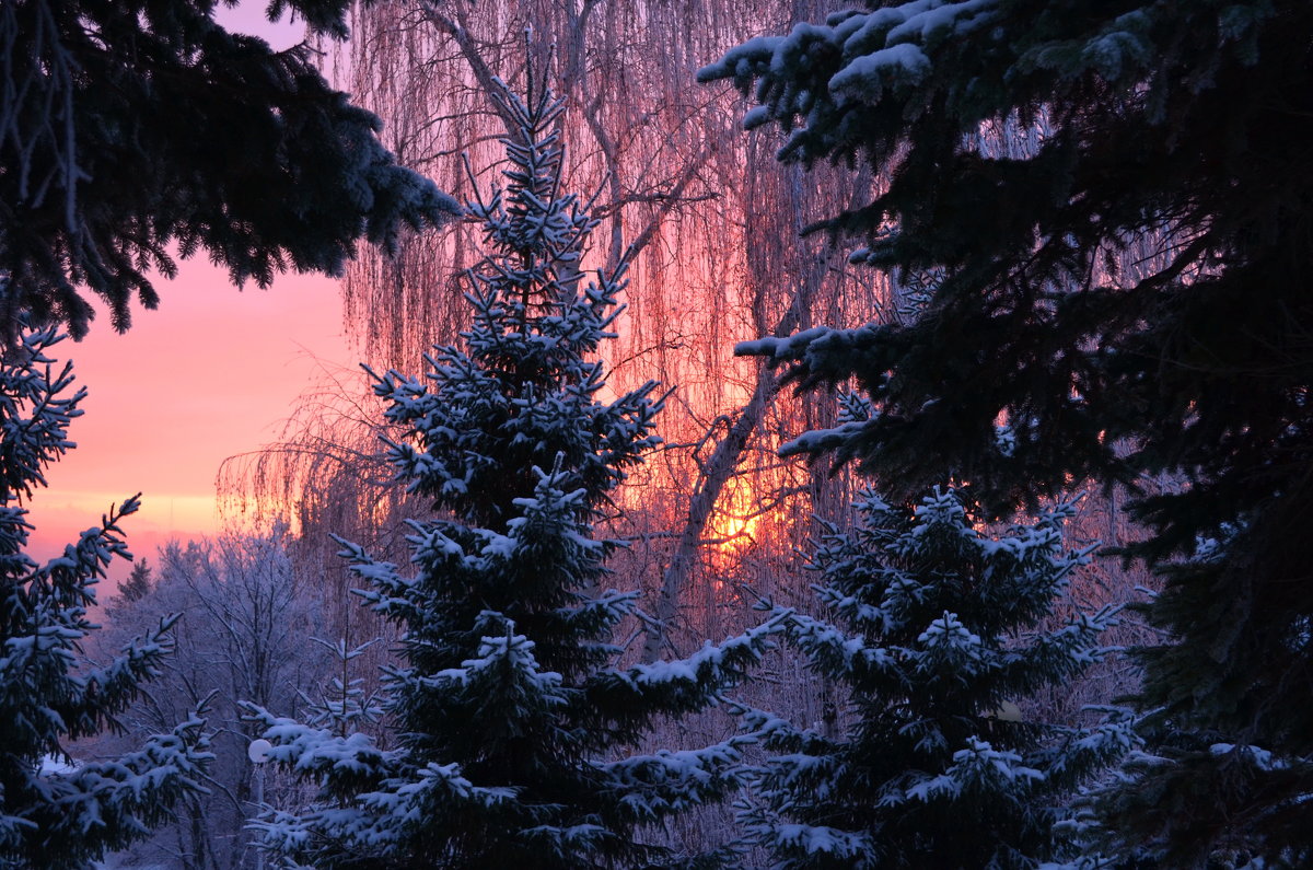 Зимний пейзаж - Наталья Тагирова