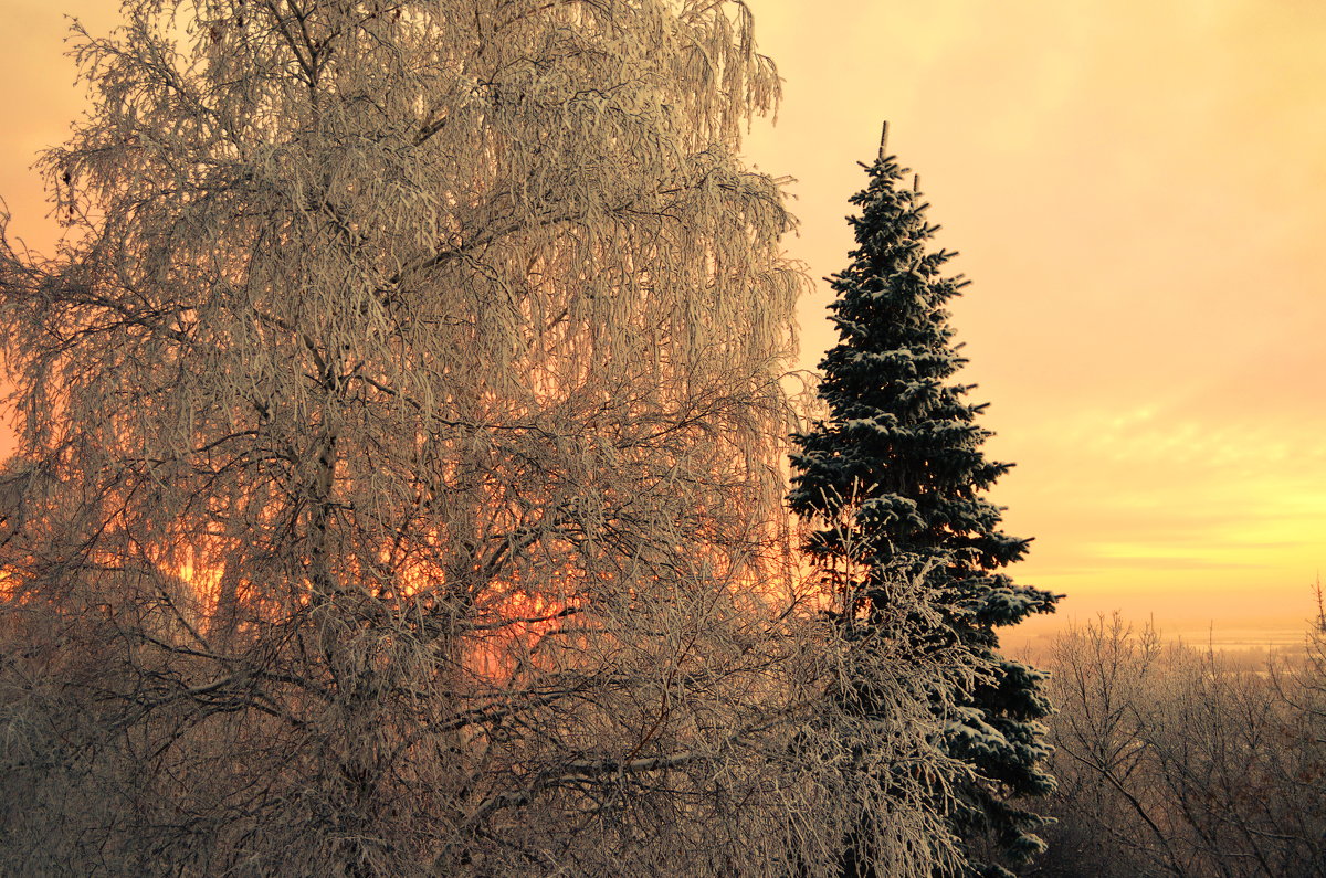 Зимний  пейзаж - Наталья Тагирова