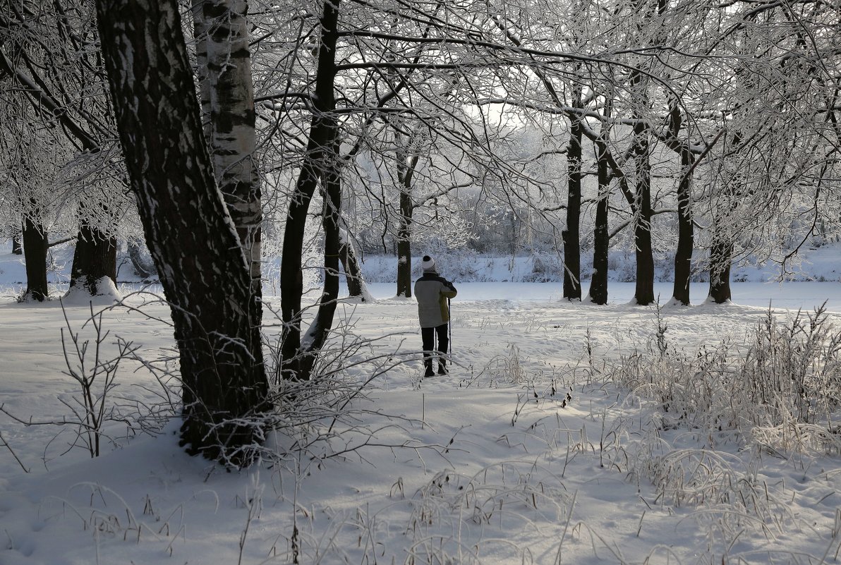 В парке - ZNatasha -