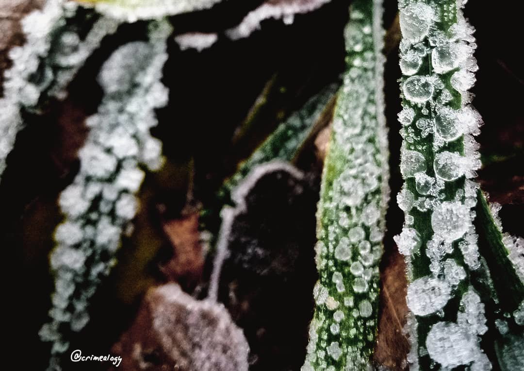 Морозная роса... Frosty dew... - Сергей Леонтьев