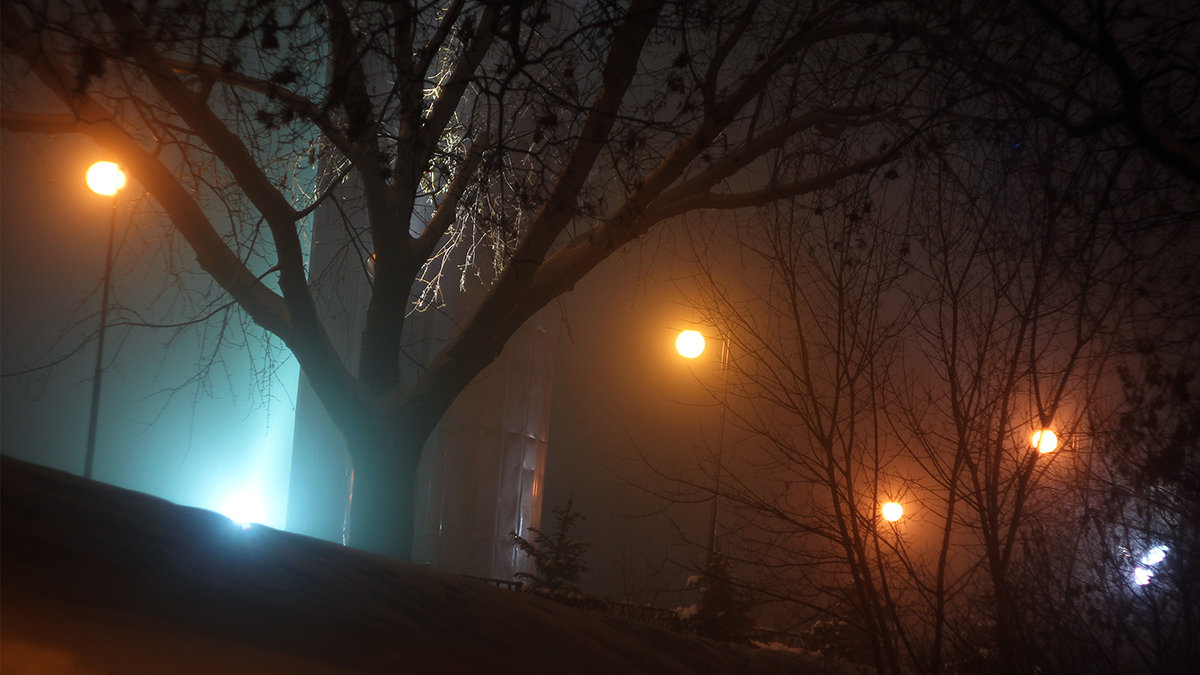 туманная ночь 2 - Геннадий Свистов
