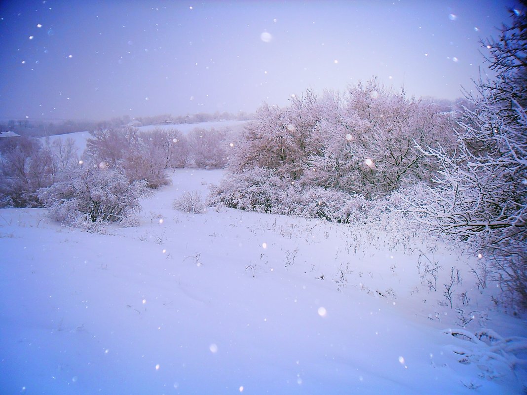 Снегопад - Проніна Олена 