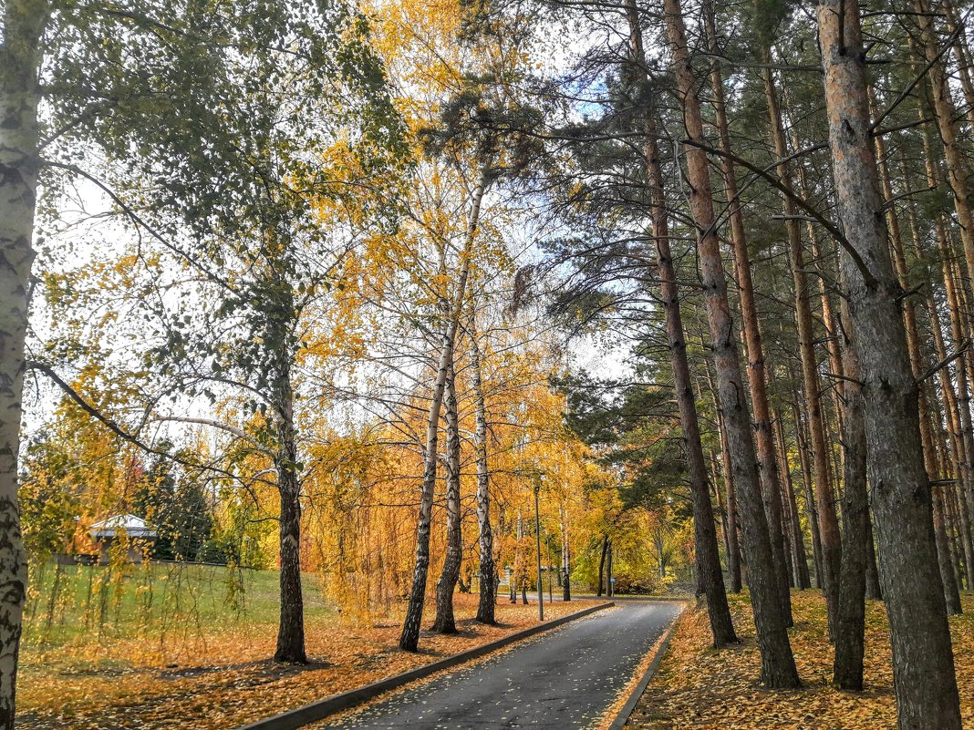 "Волжский утес" - Tata Wolf