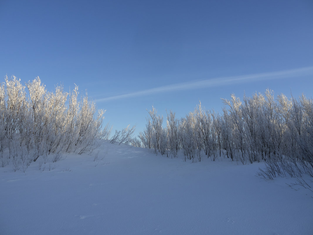 Северодвинск: много зимы и мало лета - Владимир Шибинский