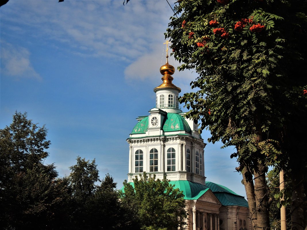 Тульские храмы - Вячеслав Маслов