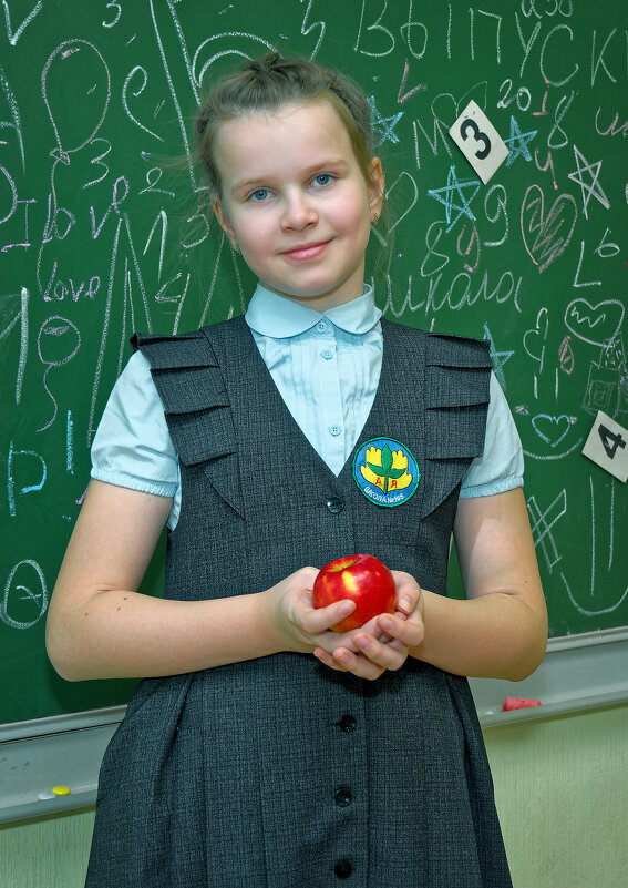 Школьные годы чудесные Четвертого класса - Дмитрий Конев