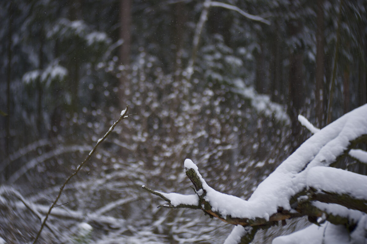 Последний снег №3 - Андрей Попов