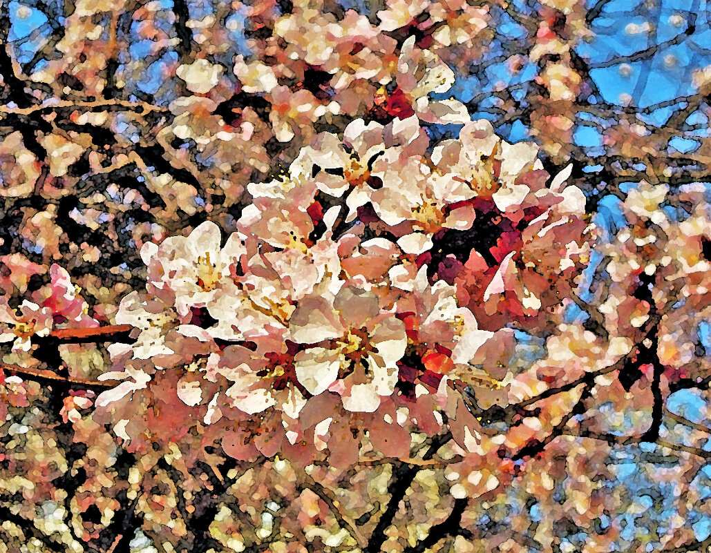 Абрикосы цвет... Акварель от ФШ) - Тамара Бедай 