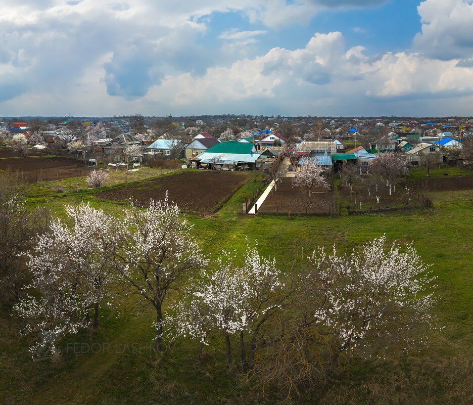 Весна на Ставрополье - Фёдор. Лашков