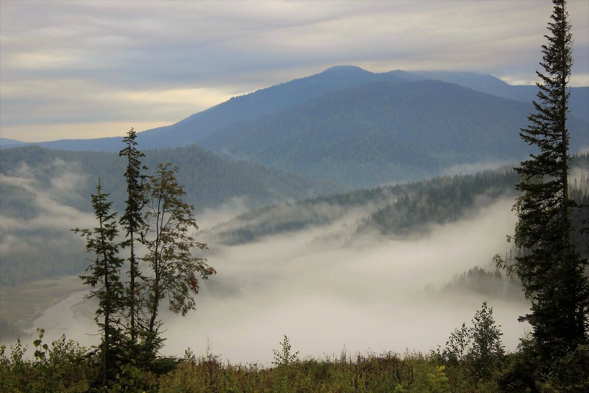 В долине утром туман - Сергей Чиняев 