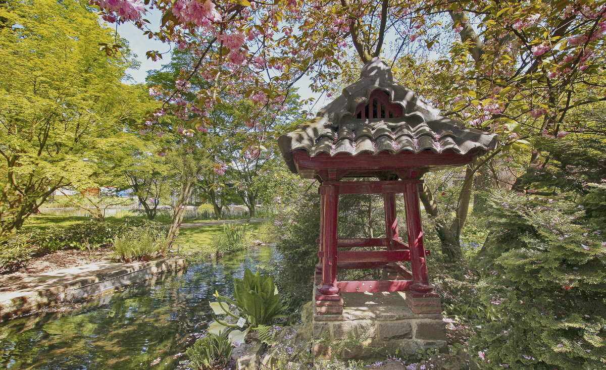 Японский сад в Леверкузене - Alexander Andronik