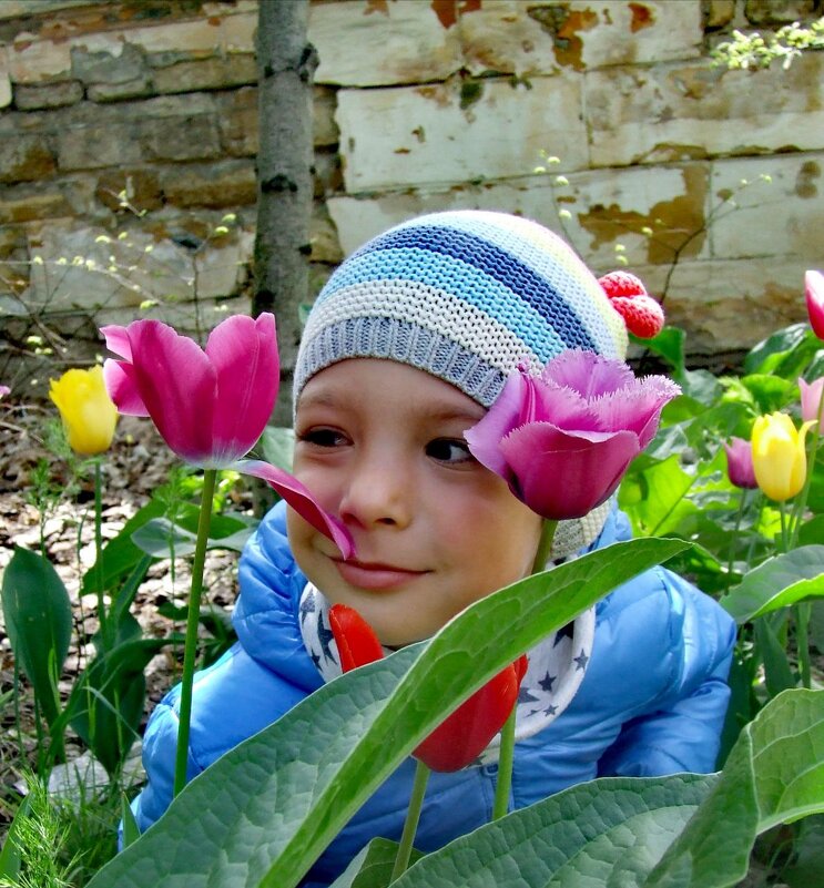 Затаившись в тюльпанах - Регина Орехова