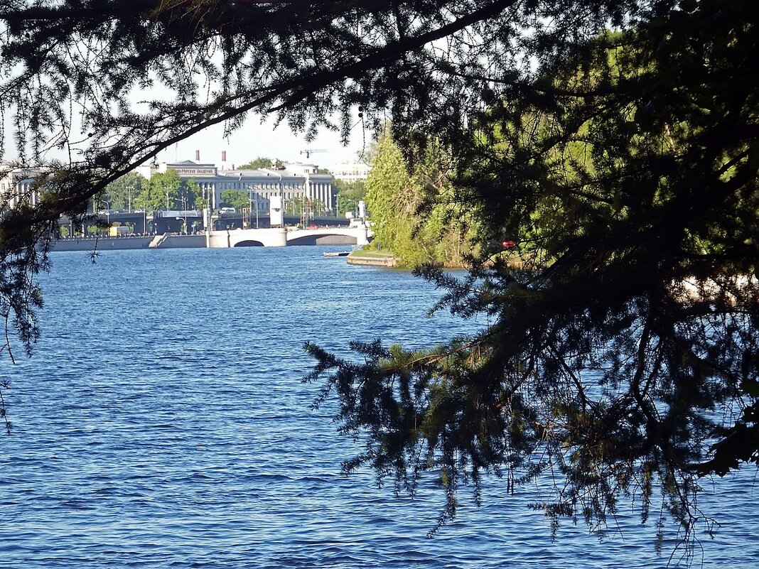 Вид на Ушаковский мост с Елагина острова (Санкт-Петербург) - Ольга И