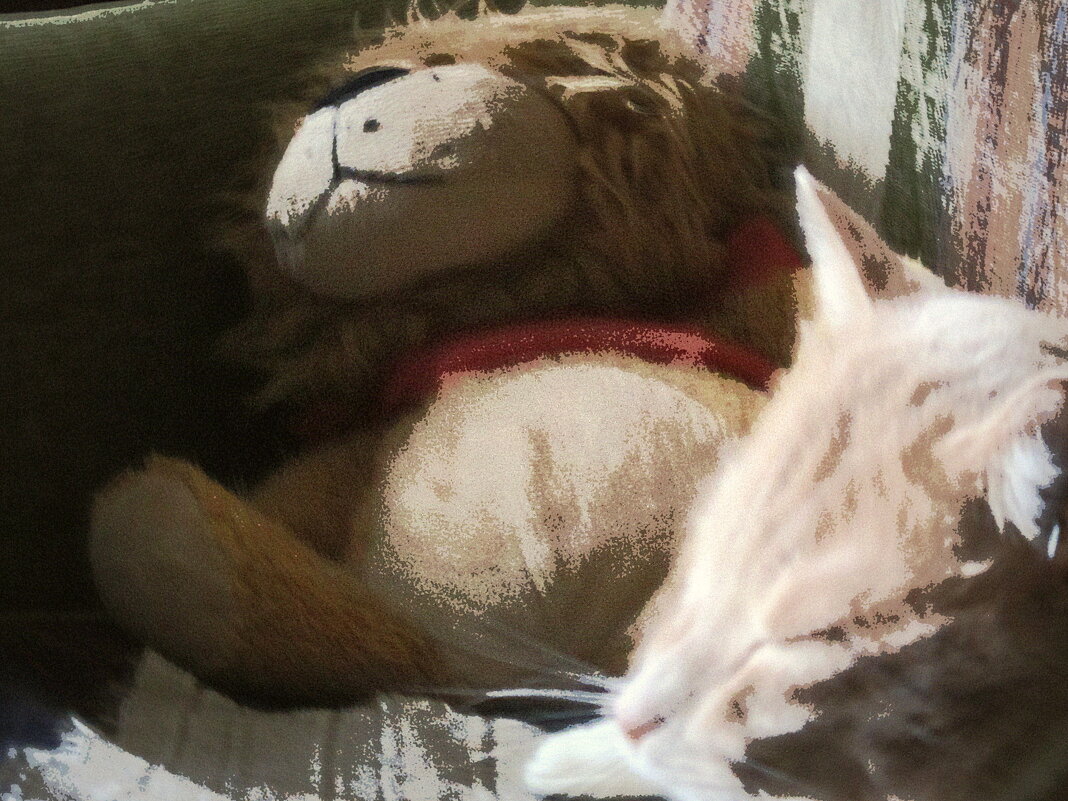 два  львёночка спят - Любовь 