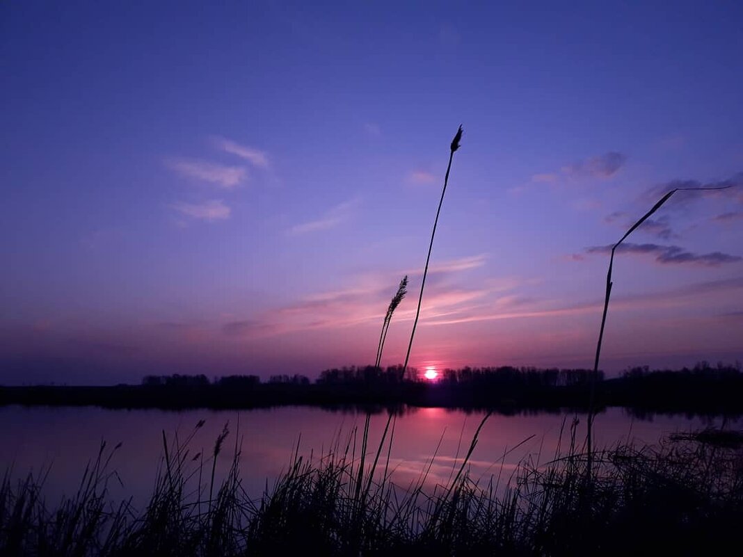 Закат на озере - Валерия Пищенкова