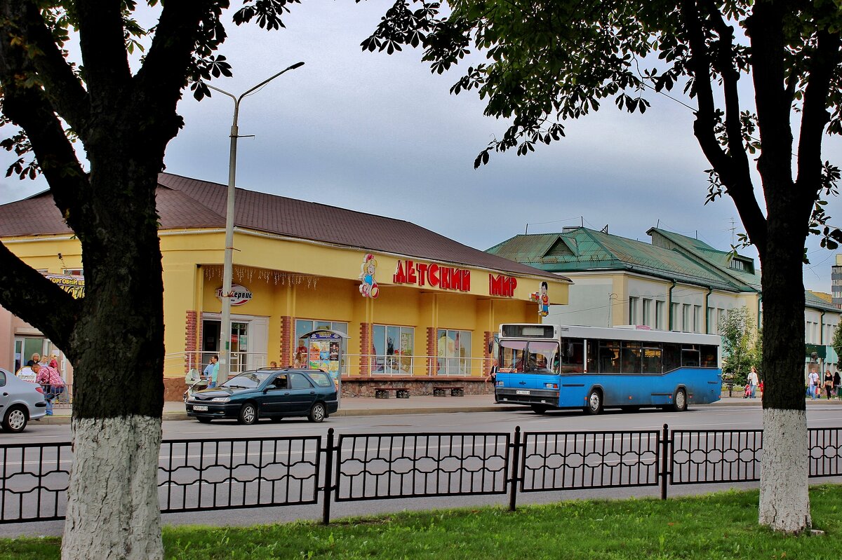 Повседневная жизнь города Речица, Беларусь. - Восковых Анна Васильевна 