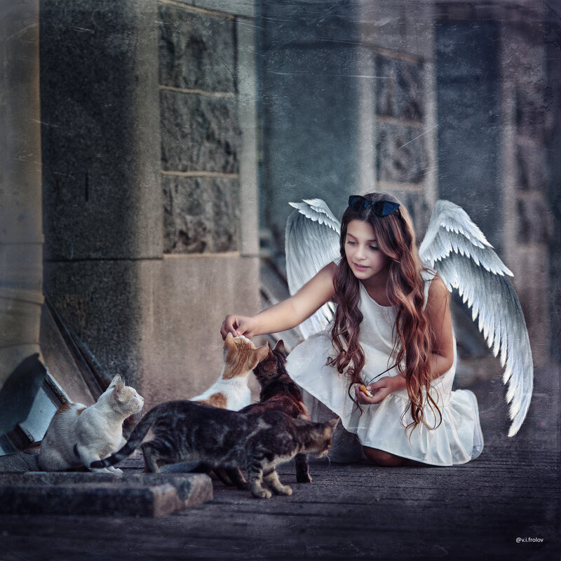 Вариация на тему Питерского ангела ) - Валерий Фролов