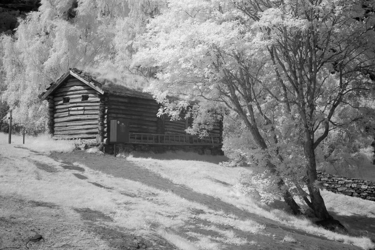 Домик в Норвегии - Сергей Козинцев