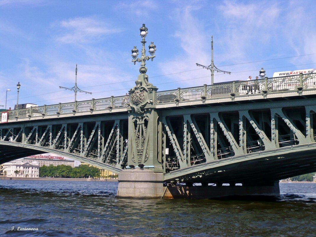Троицкий мост - Татьяна Ларионова